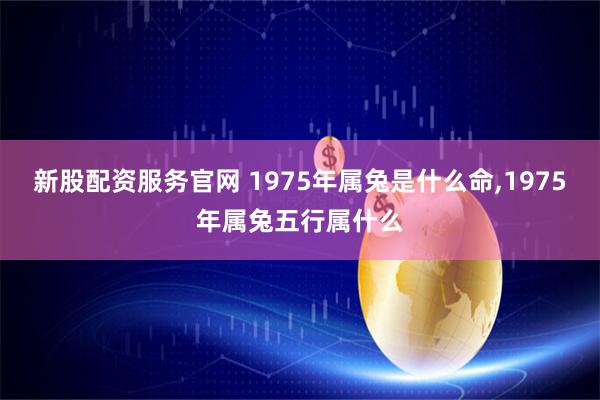 新股配资服务官网 1975年属兔是什么命,1975年属兔五行属什么